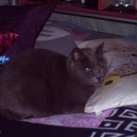 Photo #173269 de Marius