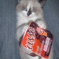Photo #173293 de Easy