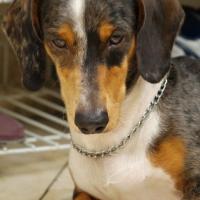 Photo #173743 de Graham siytiap