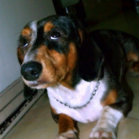 Photo #173749 de Graham siytiap
