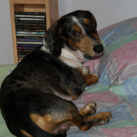 Photo #173761 de Graham siytiap