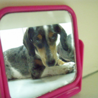 Photo #173767 de Graham siytiap