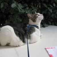 Photo #173791 de Simbad