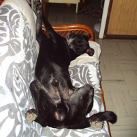 Photo #174157 de Nika