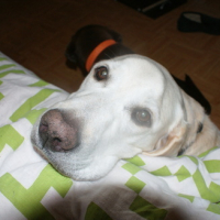 Photo #174331 de Neil