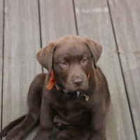 Photo #174361 de Neil