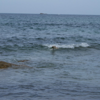 vévé dans l'eau youpi!!!!