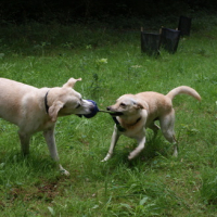 Photo #174637 de Vévé