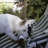 Photo #174967 de Jack