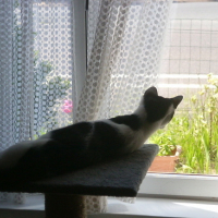 PICT0086