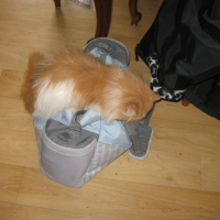 Photo #176119 de Ulyse