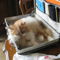 Photo #176125 de Ulyse