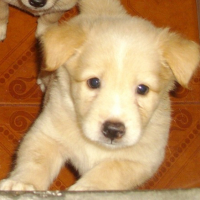 Photo #176413 de Sky