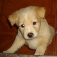 Photo #176419 de Sky