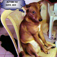 Photo #176473 de Zap