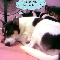 Photo #176503 de Pam