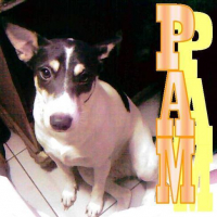 Photo #176509 de Pam