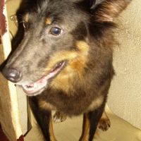 Photo #176521 de Neggy