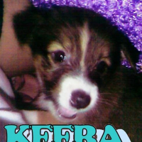 Photo #176539 de Keera