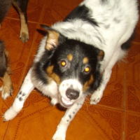 Photo #176575 de Trisha