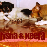 Photo #176581 de Trisha