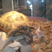 Photo #176629 de Rita