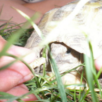 Photo #176635 de Rita
