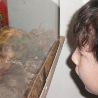 Photo #176647 de Rita