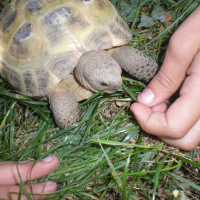 Photo #176653 de Rita