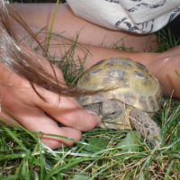 Photo #176659 de Rita