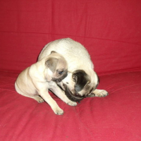 Photo #177193 de Neïla