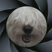 Photo #178159 de Chip
