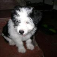 Photo #178171 de Bubbles