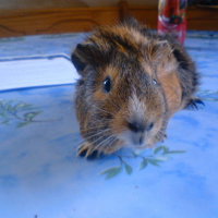 Photo #178237 de Kenny