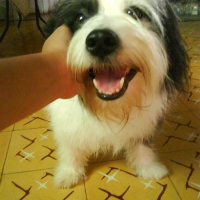 Photo #178603 de Bubbles