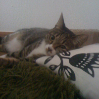 Photo #178891 de Jane