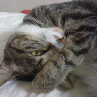 Photo #178897 de Jane