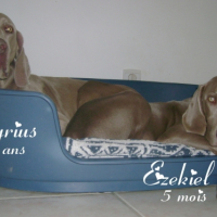 Photo #179019 de Ezekiel
