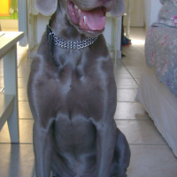 Photo #179020 de Ezekiel