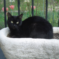 Photo #179120 de Minette