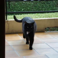 Photo #179133 de Lanai