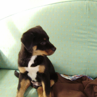 Photo #179177 de Enki