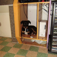 Photo #179178 de Enki