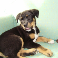 Photo #179180 de Enki
