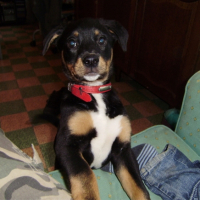 Photo #179191 de Enki