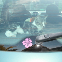 En voiture tout le monde...