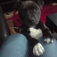 Photo #179288 de Edenne