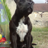 Photo #179293 de Edenne