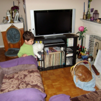 Photo #179379 de Garfield