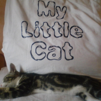 My little cat very cool !!!